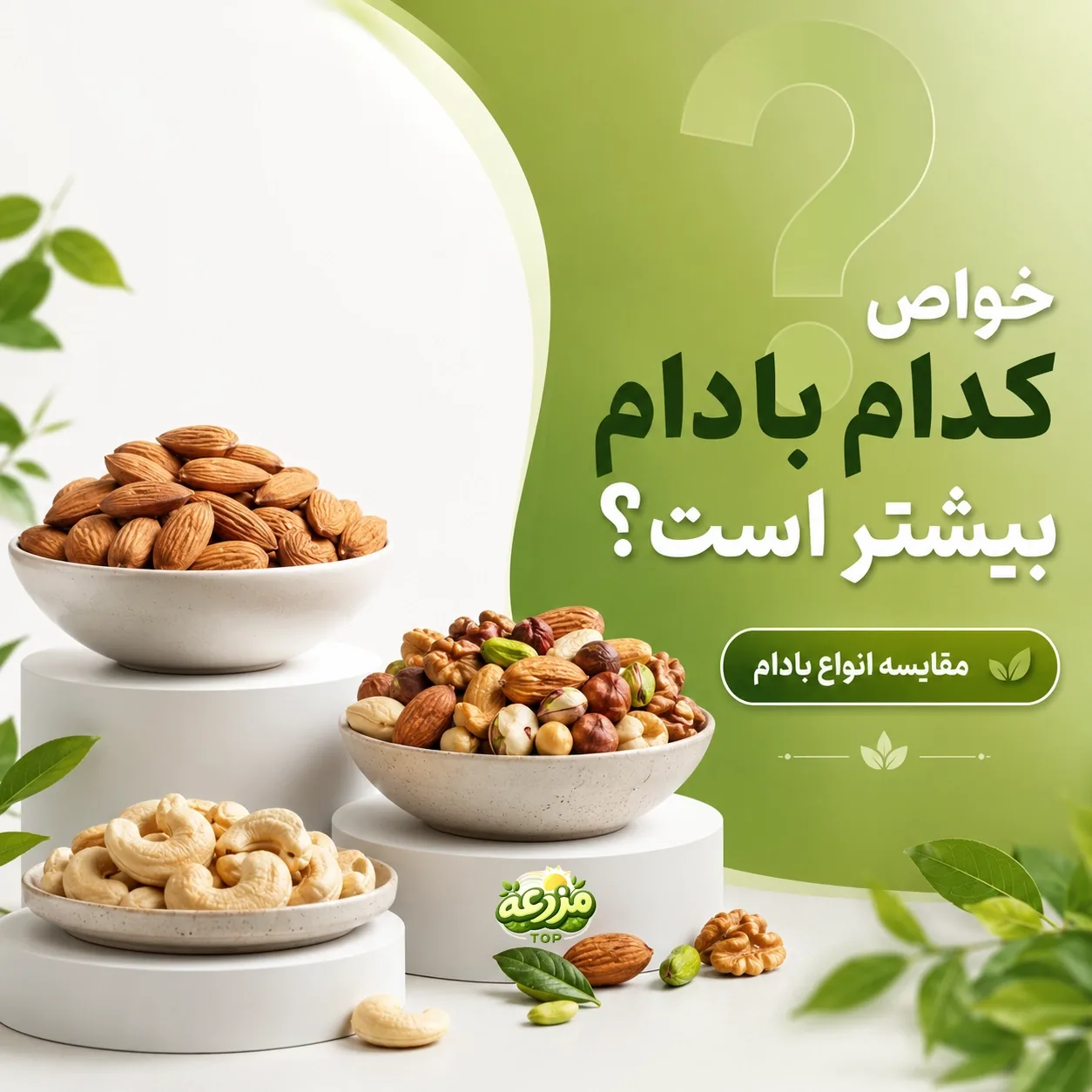 مقایسه بادام هندی و بادام درختی؛ کدام مقوی‌تر است؟