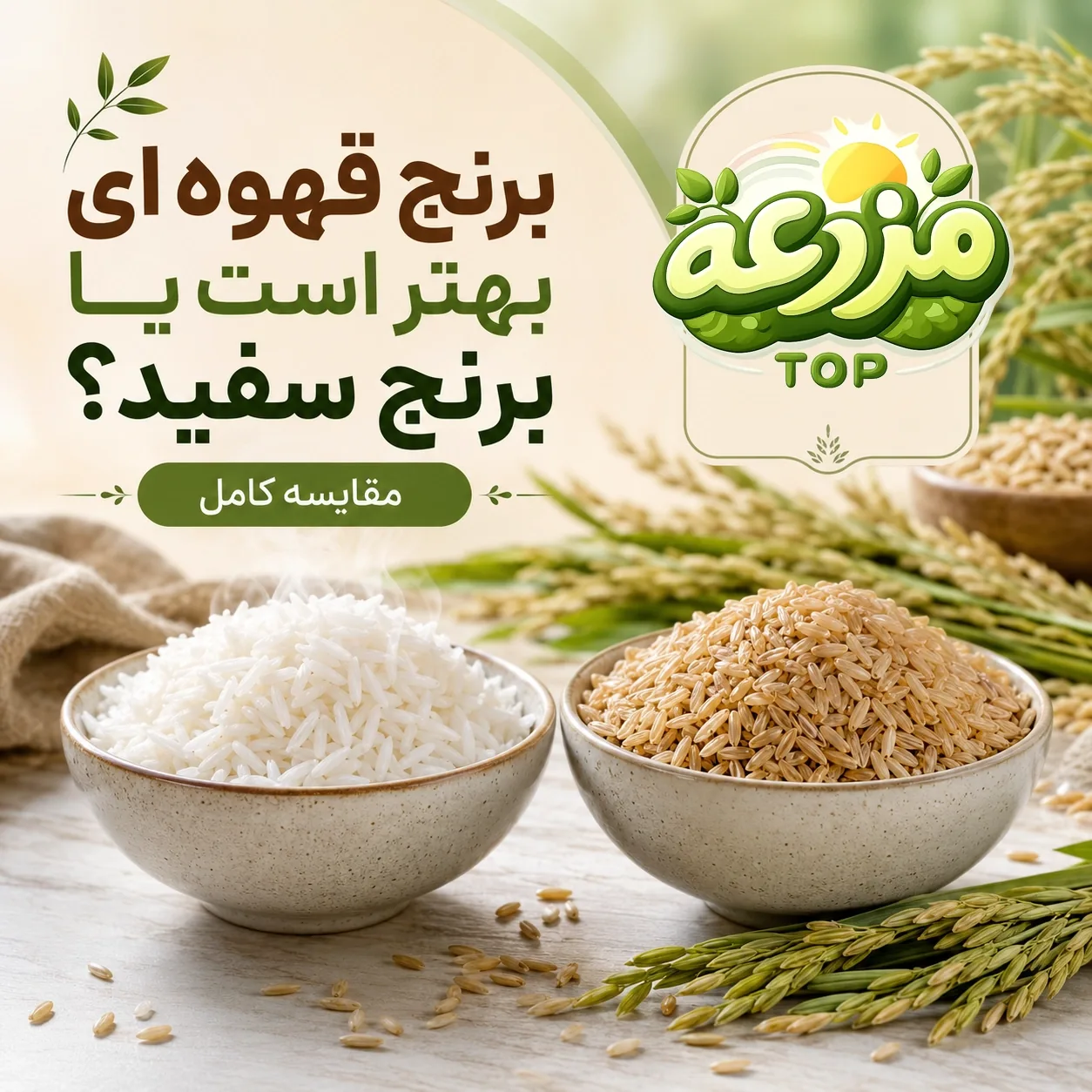 مقایسه برنج قهوه‌ای و سفید؛ کدام سالم‌تر است؟