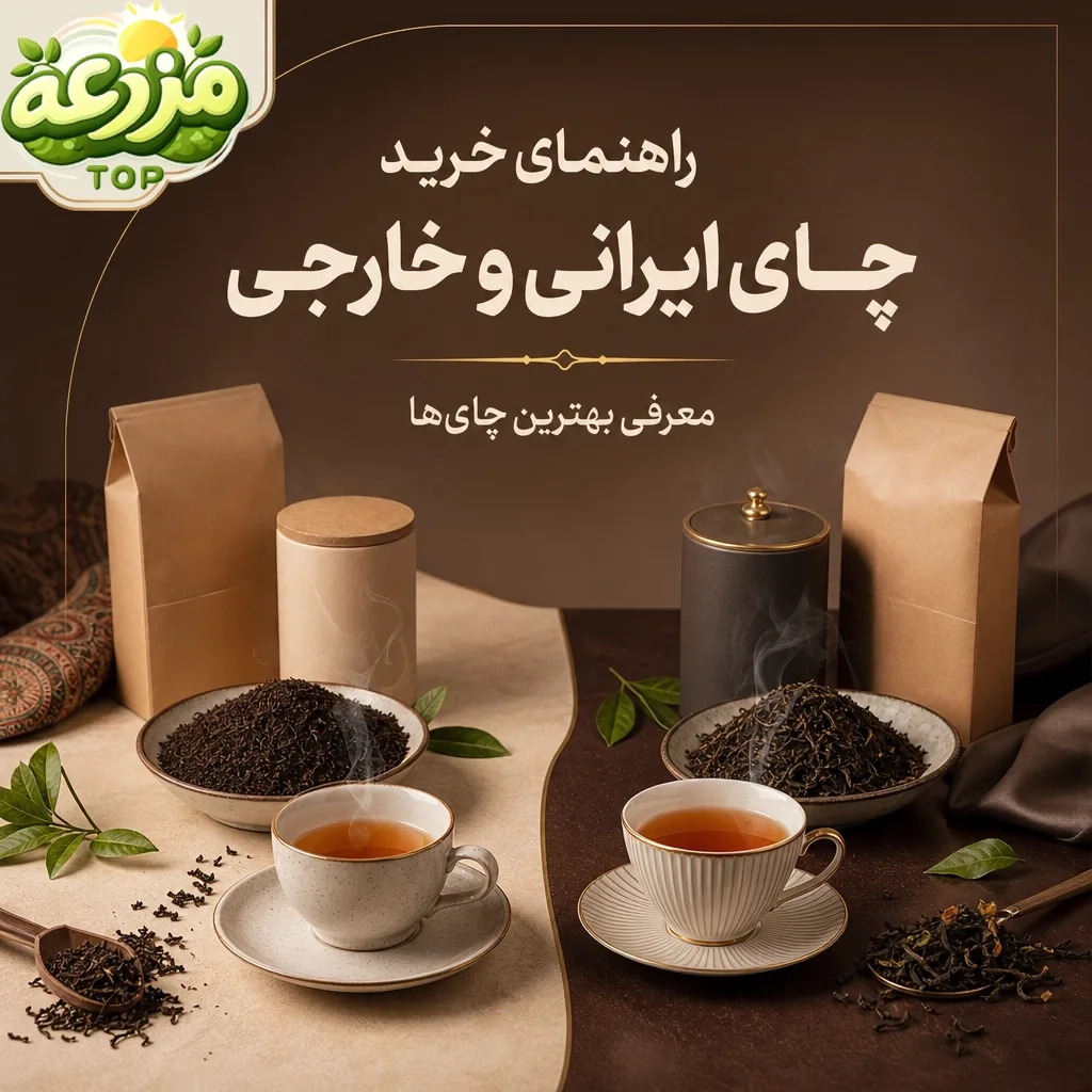 راهنمای خرید چای ایرانی و خارجی