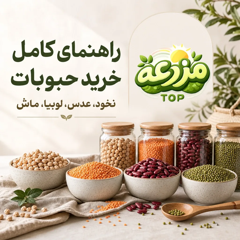راهنمای کامل خرید حبوبات