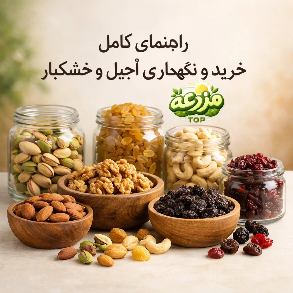 راهنمای خرید و نگهداری آجیل و خشکبار