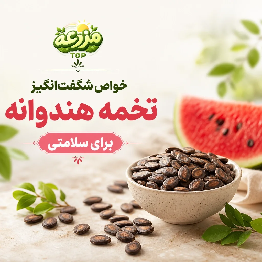 تخمه هندوانه؛ یک تنقلات کوچک با خواص بزرگ