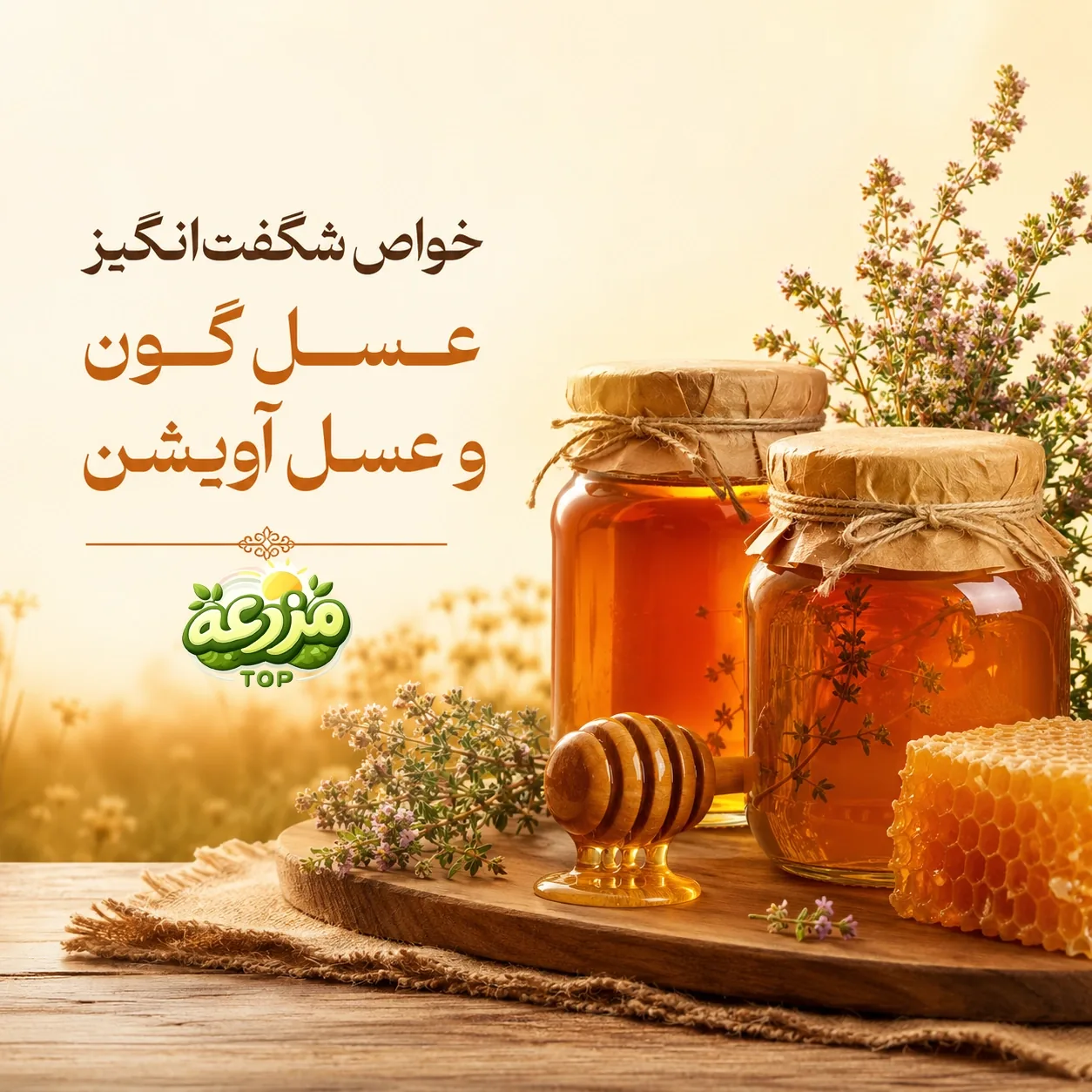 عسل گون و عسل آویشن؛ دو خاصیت متفاوت از دو طبیعت
