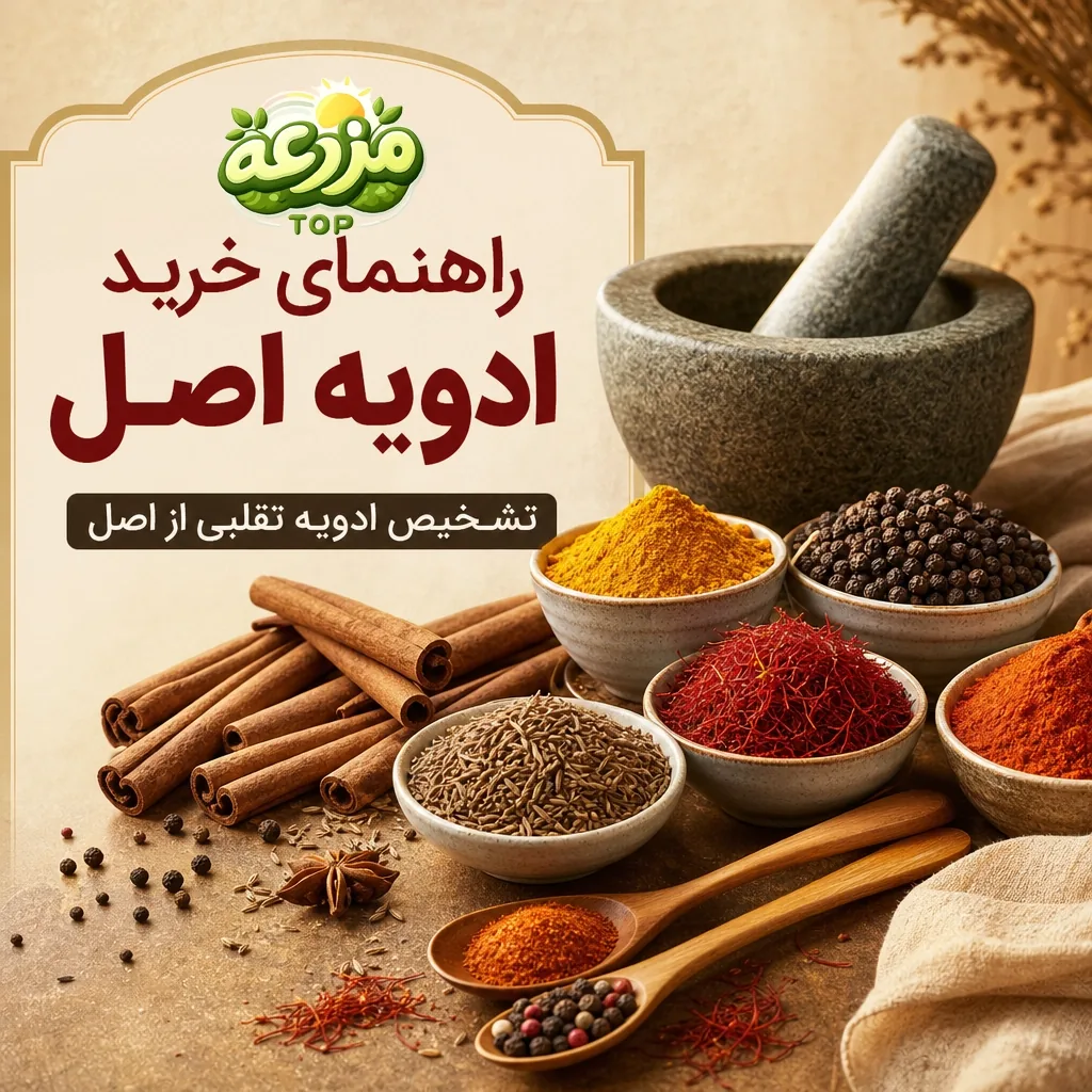 راهنمای خرید ادویه اصل و تشخیص ادویه تقلبی