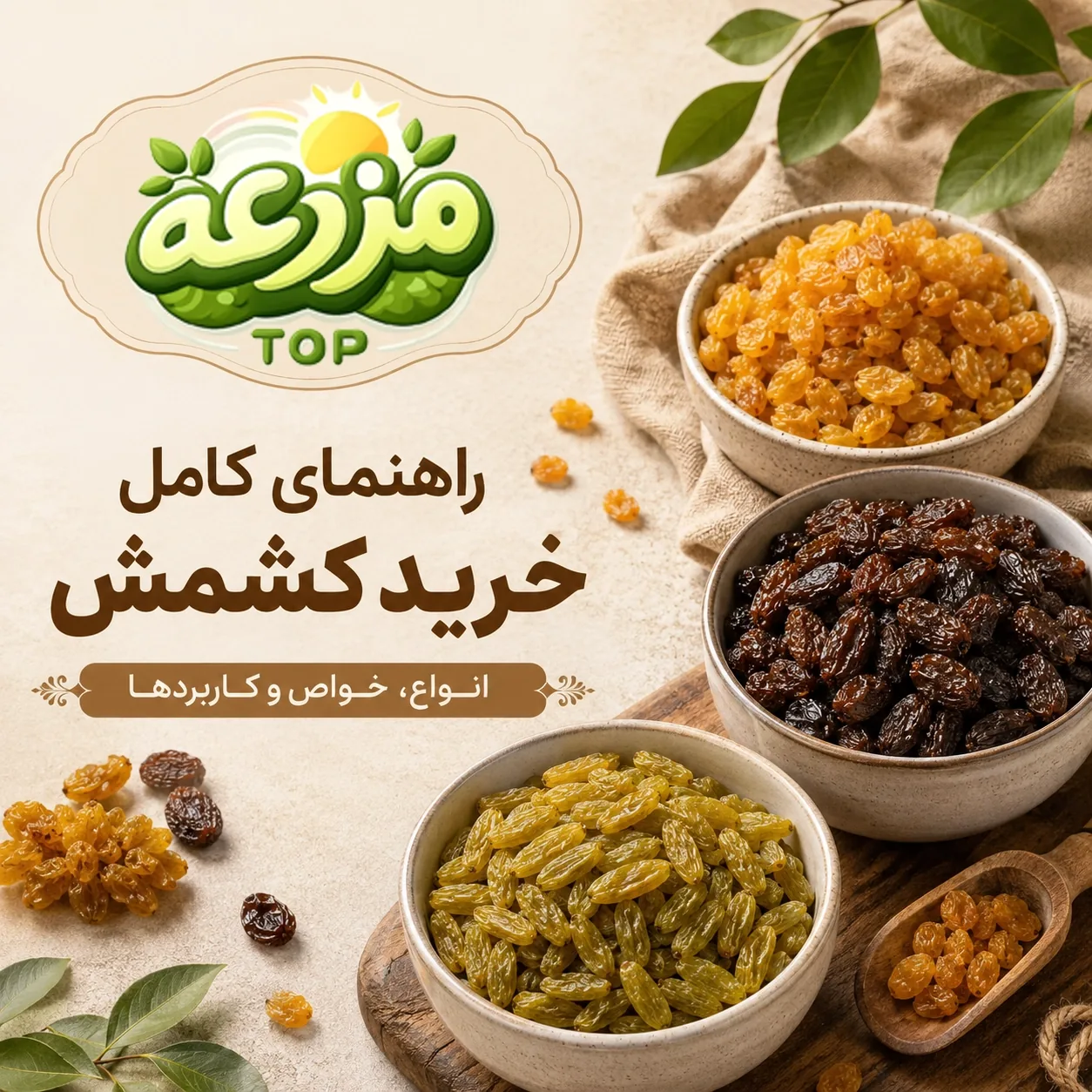 راهنمای خرید و انواع کشمش ایرانی