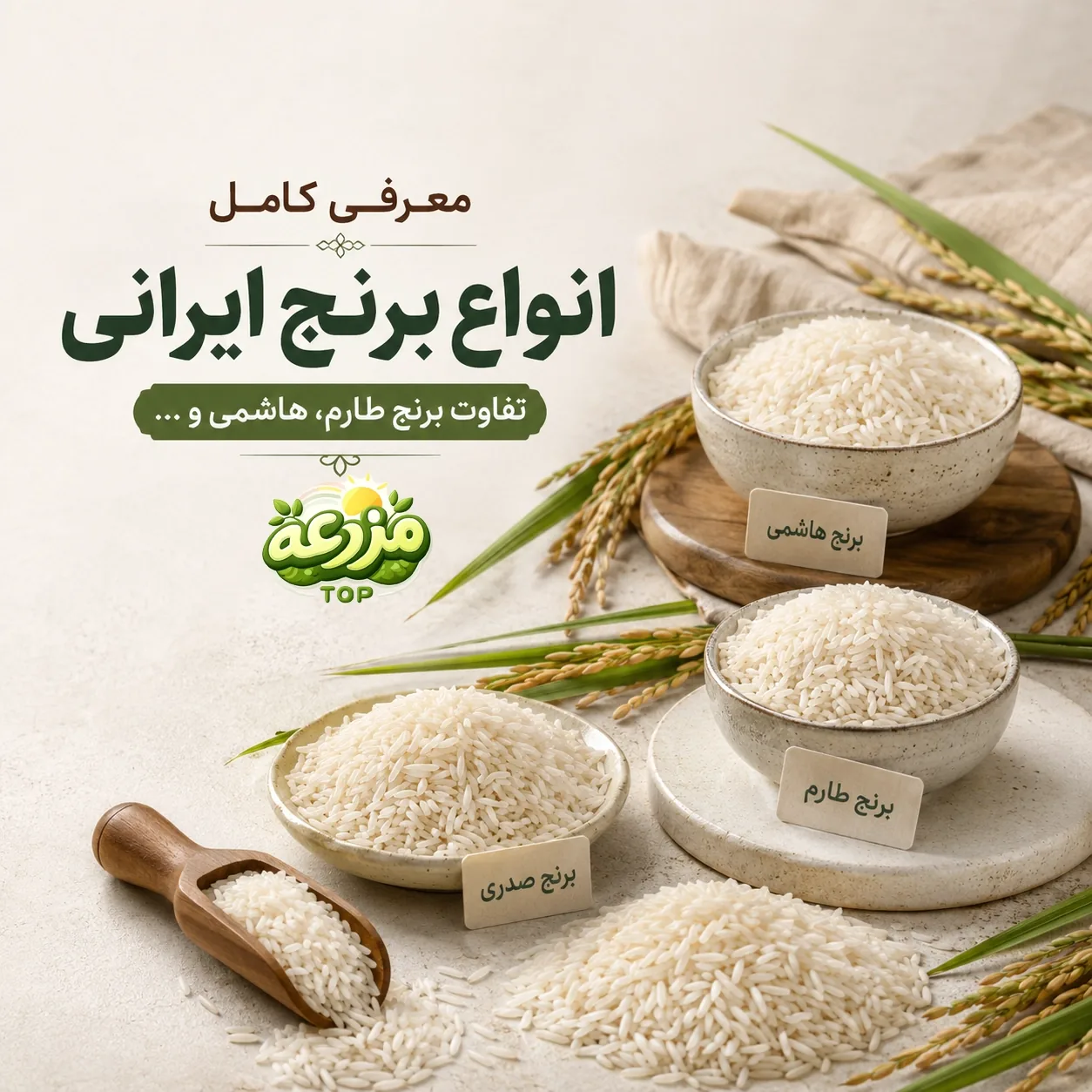 راهنمای انتخاب بهترین برنج ایرانی