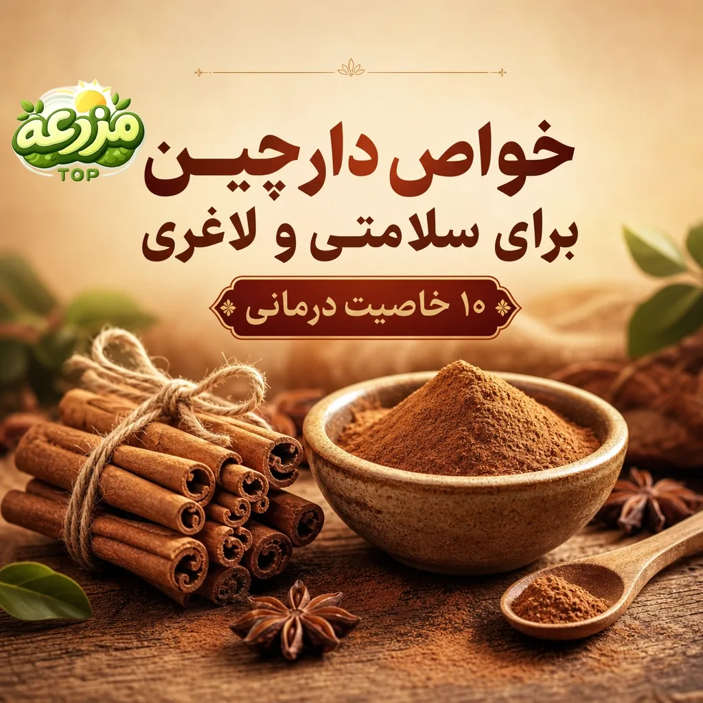 دارچین؛ ۱۰ خاصیت شگفت‌انگیز برای سلامتی