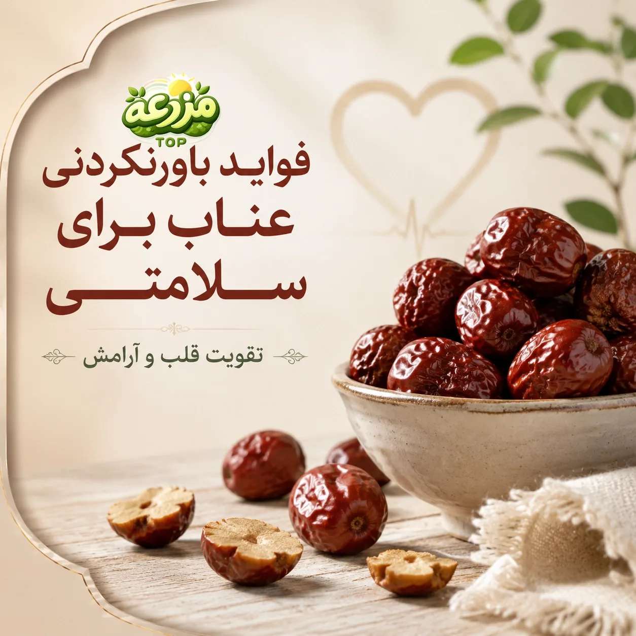 عناب؛ خواص شگفت‌انگیز و طرز تهیه دمنوش