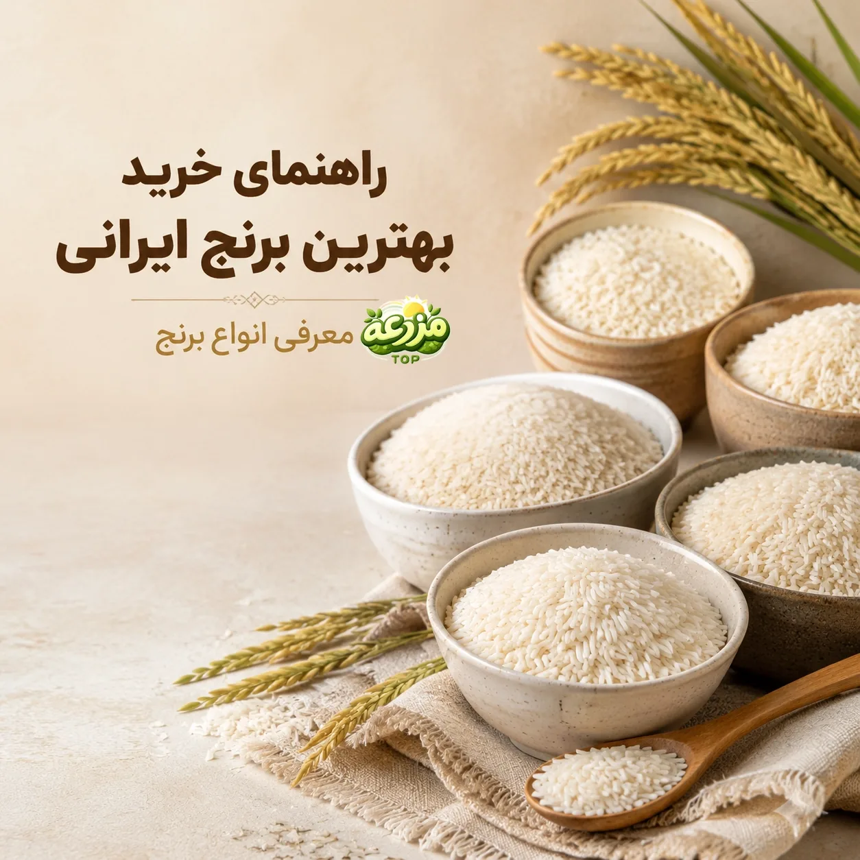 راهنمای خرید بهترین برنج ایرانی؛ انواع، پخت و نکات طلایی