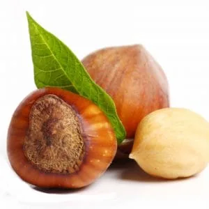 فندق