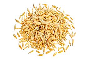 جو