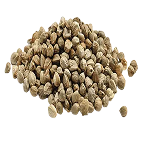 شاهدانه