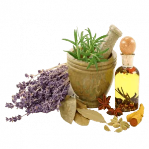 گیاهان دارویی