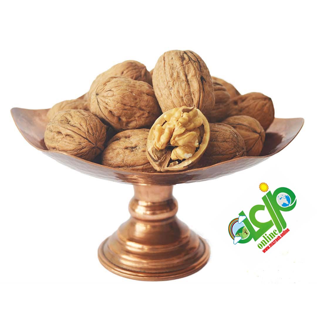 گردو با پوست ایرانی