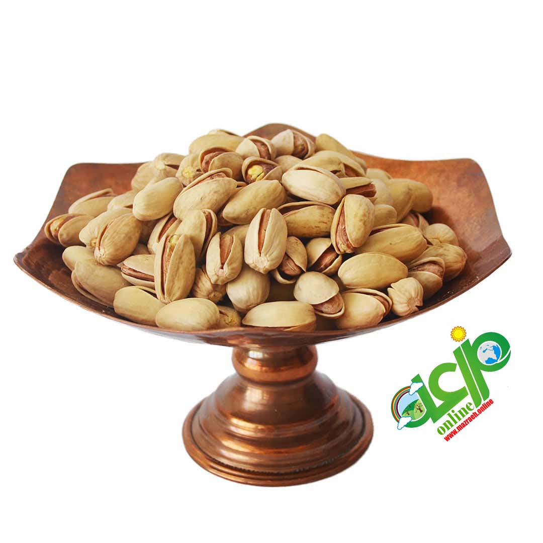 پسته-اکبری-دستچین-خام