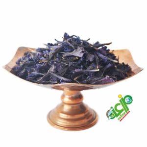 گل گاو زبان